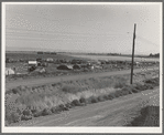 Camp of migrant potato pickers seen from potato shed across the road. [Tulelake], Siskiyou County, California. General caption number 63-1