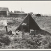 One of the forty potato camps in open field, entering town. Malin, Klamath County, Oregon. General caption number 64