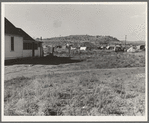 Squatters camp in potato town. Malin, Klamath County, Oregon. General caption number 64