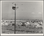 Camp of migrant potato pickers seen from the packing shed. Tulelake, Siskiyou County, California. General caption number 63-1