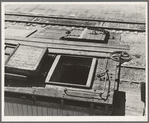 Freight car at potato shed. Tulelake, Siskiyou County, California