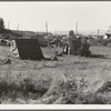 Squatter camp entering potato town. Malin, Klamath County, Oregon. General caption number 64