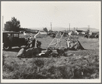 Squatter camp in potato town. Malin, Klamath County, Oregon. General caption number 64