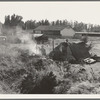 One of the forty potato camps in open field, entering town. Malin, Klamath County, Oregon. General caption number 64