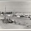 Camp of migrant potato pickers seen from the packing shed. Tulelake, Siskiyou County, California. General caption number 63-1