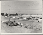 Camp of migrant potato pickers seen from the packing shed. Tulelake, Siskiyou County, California. General caption number 63-1