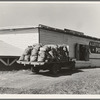 Potato shed during season, across the road from the pickers' camp. Tulelake, Siskiyou County, California. General caption number 63-11