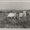 Potato pickers' camp. Tulelake, Siskiyou County, California. General caption number 63-1