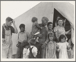 In Farm Security Administration (FSA) migrant labor camp during pea harvest. Family from Oklahoma with eleven children. Father, eldest daughter and eldest son working