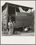 Grower provides fourteen such shacks in a row for his hop pickers. Josephine County, Oregon. Near Grants Pass, Josephine County, Oregon. General caption number 45-11