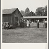 Part of the lineup at paymaster's window at noon. Hop pickers are paid off daily. Near Grants Pass, Josephine County, Oregon. General caption number 45-11