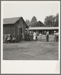 Part of the lineup at paymaster's window at noon. Hop pickers are paid off daily. Near Grants Pass, Josephine County, Oregon. General caption number 45-11