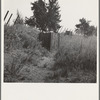 Toilets provided for hop pickers in grower's camp. Near Grants Pass, Josephine County, Oregon. General caption number 45-11