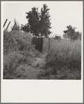 Toilets provided for hop pickers in grower's camp. Near Grants Pass, Josephine County, Oregon. General caption number 45-11