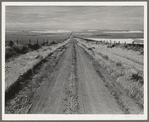 Western wheat country in a region which yields over twenty five bushels to the acre. Banks, mortgage companies and insurance companies own many farms in this area. Umatilla County, Oregon