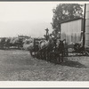 Each farmer brings his own wagon and team for the day's work. Note ensilage cutter cooperatively owned by eight farmers in use. Near West Carlton, Yamhill County, Oregon