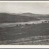 Farmers have just sown their winter wheat. Eastern Oregon, Small Finger Valley. On U.S. 30, Baker County, Oregon