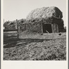 Two-year old barn, sage bush thatched (name: Hull). Dead Ox Flat, Malheur County, Oregon. General caption number 67-111