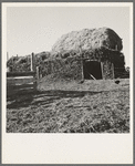 Two-year old barn, sage bush thatched (name: Hull). Dead Ox Flat, Malheur County, Oregon. General caption number 67-111