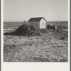 The preacher's house. Dead Ox Flat, Malheur County, Oregon. General caption number 67-11
