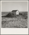 The preacher's house. Dead Ox Flat, Malheur County, Oregon. General caption number 67-11