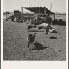 Temporary buildings on Williams' new farm. Dead Ox Flat, Malheur County, Oregon. General caption number 67-111
