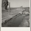 Emmett Smith's yard, back of the house. Dead Ox Flat, Malheur County, Oregon. General caption number 67-111
