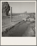 Emmett Smith's yard, back of the house. Dead Ox Flat, Malheur County, Oregon. General caption number 67-111