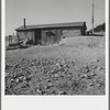 Abode basement dugout house on Roberts' farm. Willow Creek area. Malheur County, Oregon. General caption number 73