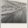 Below the bench, showing condition of road which leads up to the new farm due to seepage of irrigation water. Family who lives in shack have been in the country one year. "We're getting along, but it's awful slow." Dead Ox Flat, Malheur County, Oregon
