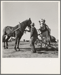 Mr. Browning prepares to go into the field to mow his hay. Dead Ox Flat, Malheur County, Oregon. General caption 67-111