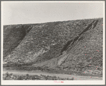 Water seepage from newly irrigated land on top of bench, eroding the sides. A problem for the Reclamation Servive. Dead Ox Flat, Malheur County, Oregon