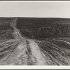 Landscape on top of bench, showing new lands, and farms beyond. Road was built by the CCC (Civilian Conservation Corps). Dead Ox Flat, Malheur County, Oregon. General caption number 67-1