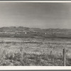 View of the valley from Dazey farm. Homedale district, Malheur County, Oregon. See general caption number 66