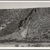 Water seepage from newly irrigated land on top of bench, eroding sides. A problem for the Reclamation Service, Dead Ox Flat, Malheur County, Oregon. See General Caption number 67-I