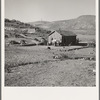 The fartherest house up Cow Hollow. Family came from Oklahoma. Malheur County, Oregon