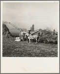 Threshing red clover for seed on older settler's ranch. Near Ontario, Malheur County, Oregon