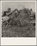 Threshing red clover for seed on older settler's ranch. Near Ontario, Malheur County, Oregon