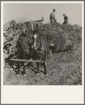 Threshing red clover for seed on older settler's ranch. Near Ontario, Malheur County, Oregon
