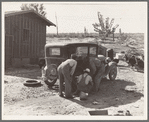 Stephens brothers, who own combine cooperatively, getting ready to go out to their lettuce field after dinner. Nyssa Heights district, Malheur County, Oregon