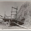 Hayrick and stack of FSA (Farm Security Administration) borrower. Nyssa Heights, Malheur County, Oregon
