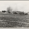Threshing red clover for seed on older settler's ranch. Near Ontario, Malheur County, Oregon