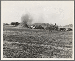Threshing red clover for seed on older settler's ranch. Near Ontario, Malheur County, Oregon