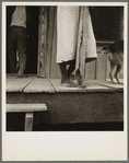 Front porch of sharecropper's cabin. Coahoma County, Mississippi