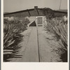 Home of one of the Stephens brothers, farmers from Nebraska. Nyssa Heights district, Malheur County, Oregon