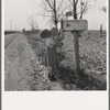 Rural children at R.F.D. box, near Fruitland, Idaho