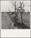 Rural children at R.F.D. box, near Fruitland, Idaho