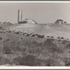 Western Idaho dairy farm