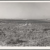 Nyssa Heights, Malheur County, Oregon. Sage bush, hay field, farmstead, cattle in pasture. All farms in this view belong to FSA (Farm Security Administration) borrowers. General caption 66