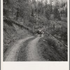 Bringing in load of logs late in the afternoon from the woods to the mill over road three miles long which members built with pick and shovel. Ola self-help co-op farm, Gem County, Idaho. See general caption 48